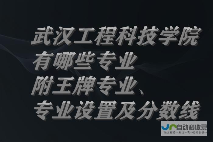 武汉专业的SEO优化服务：从关键词策略到网站结构优化，助您在搜索引擎中脱颖而出