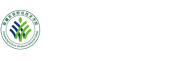 首页